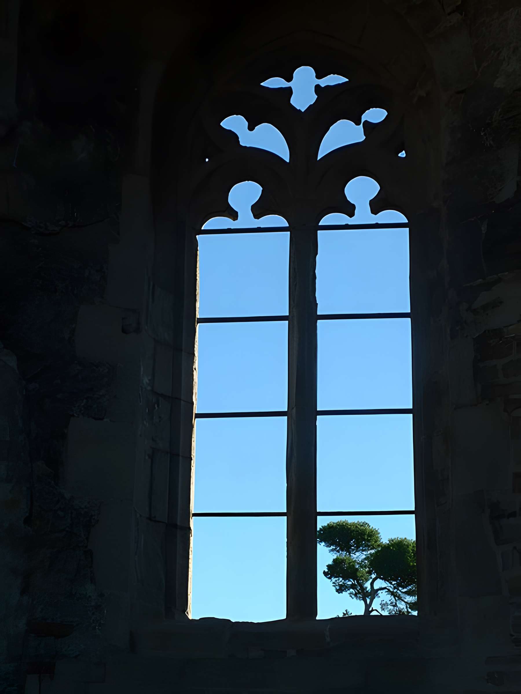 Cité de Carcassonne