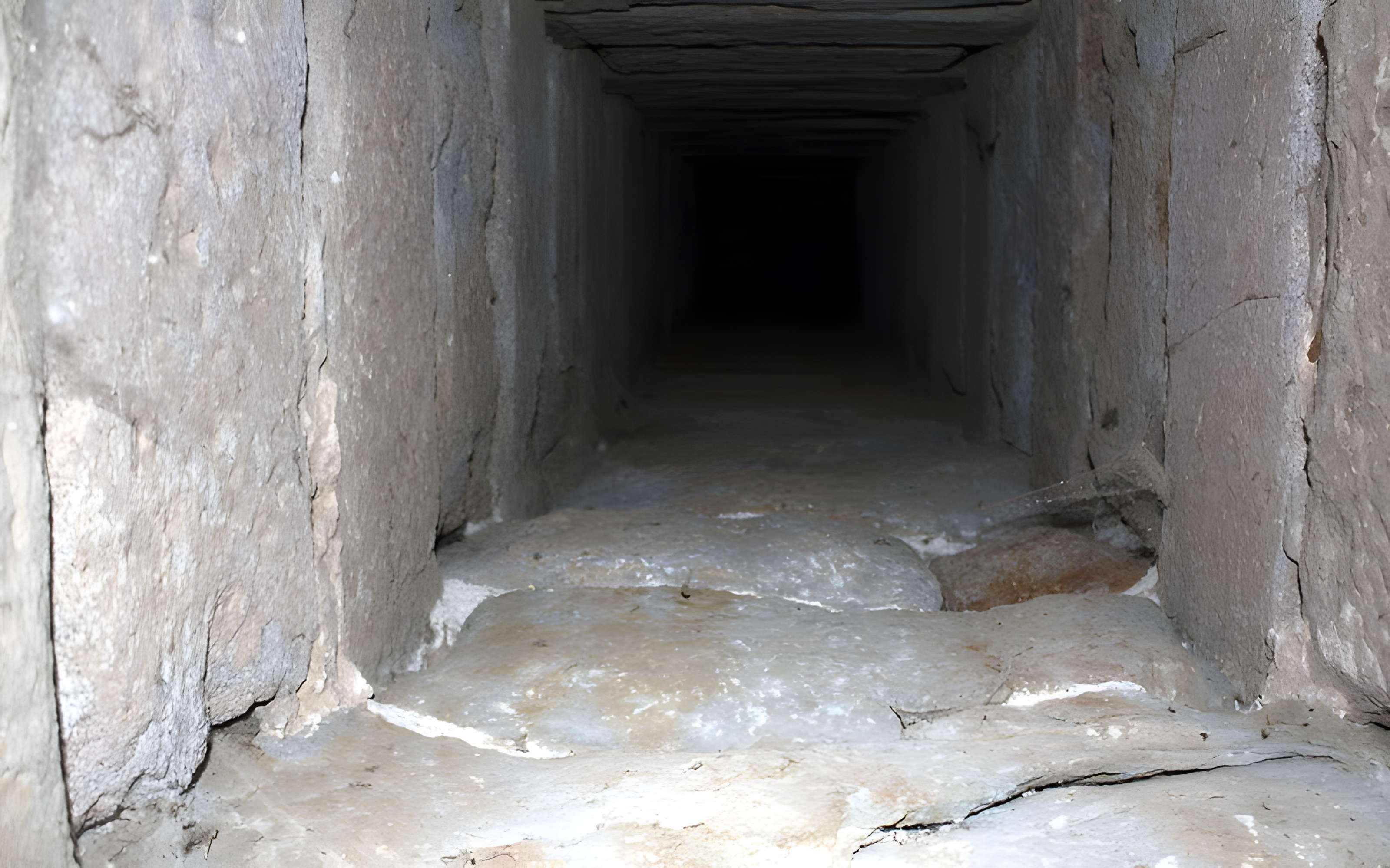 Cité de Carcassonne