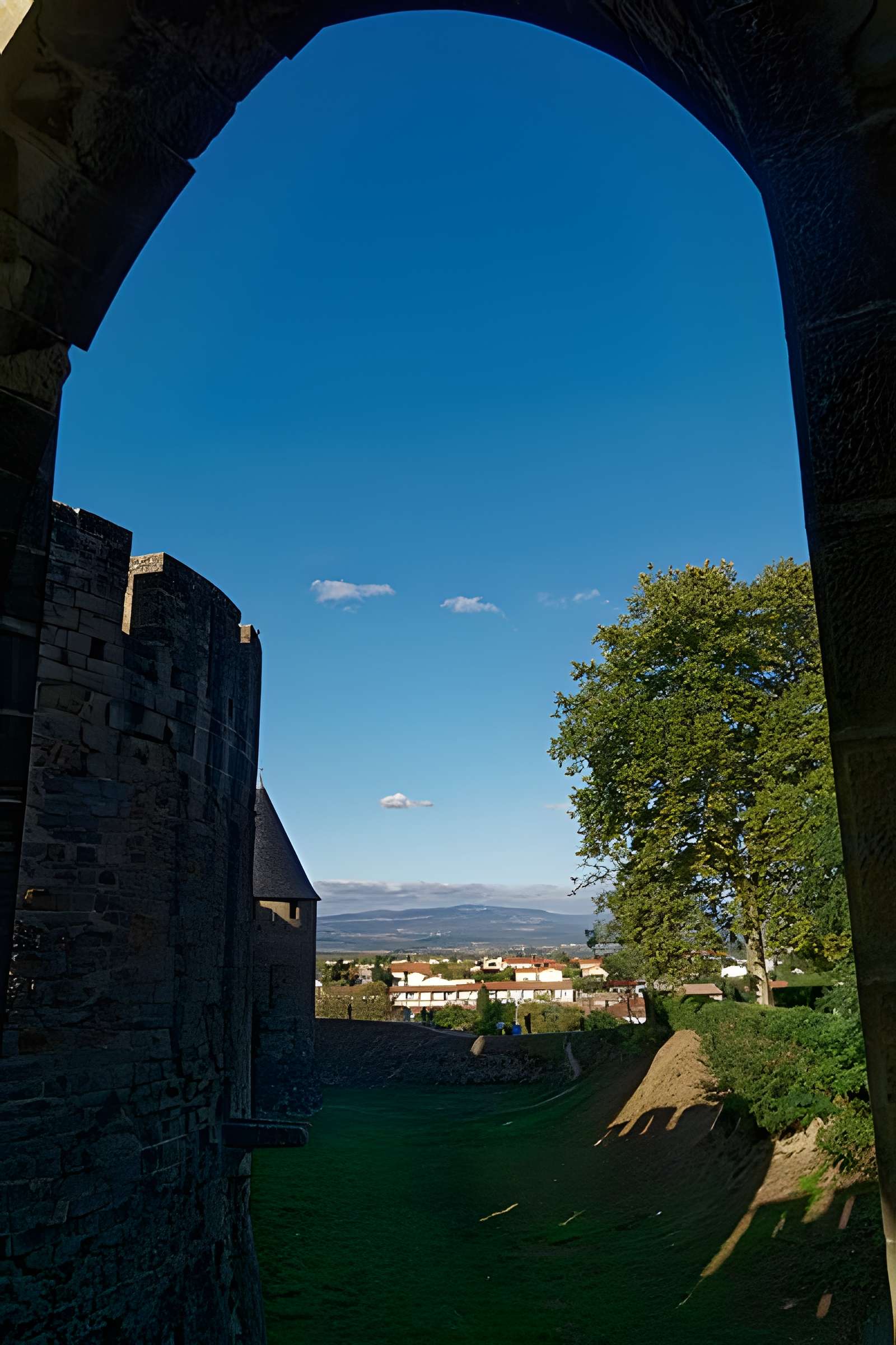 Cité de Carcassonne