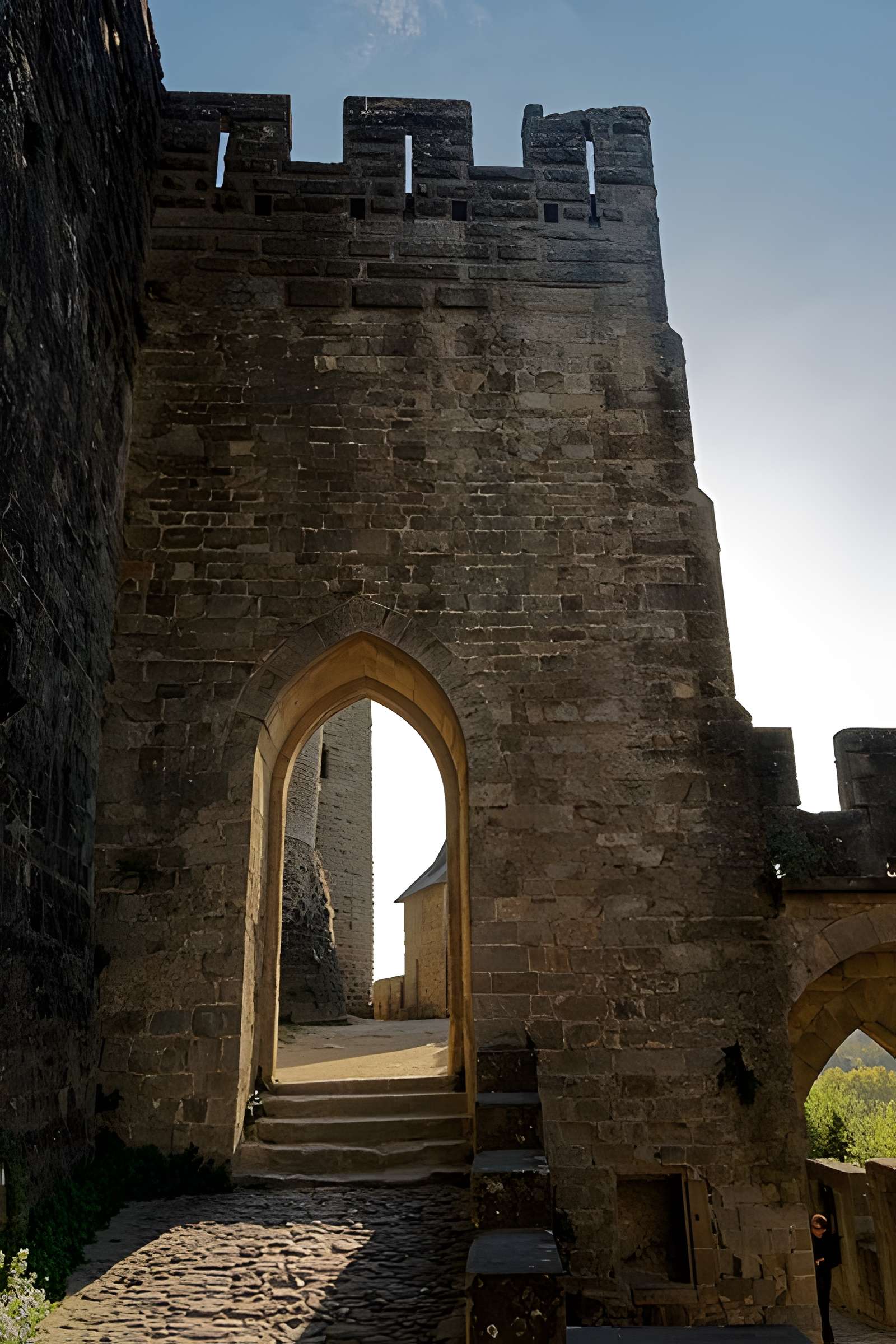 Cité de Carcassonne