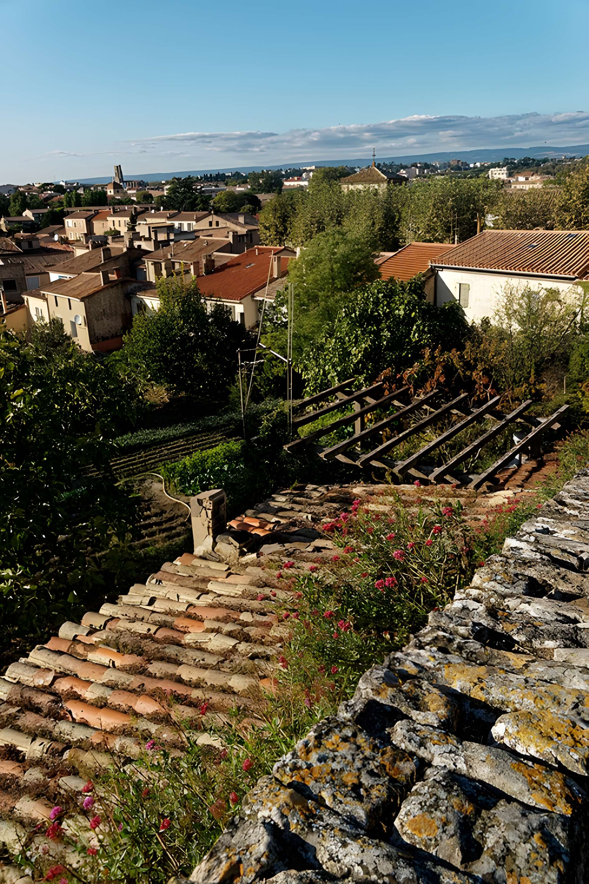 Cité de Carcassonne