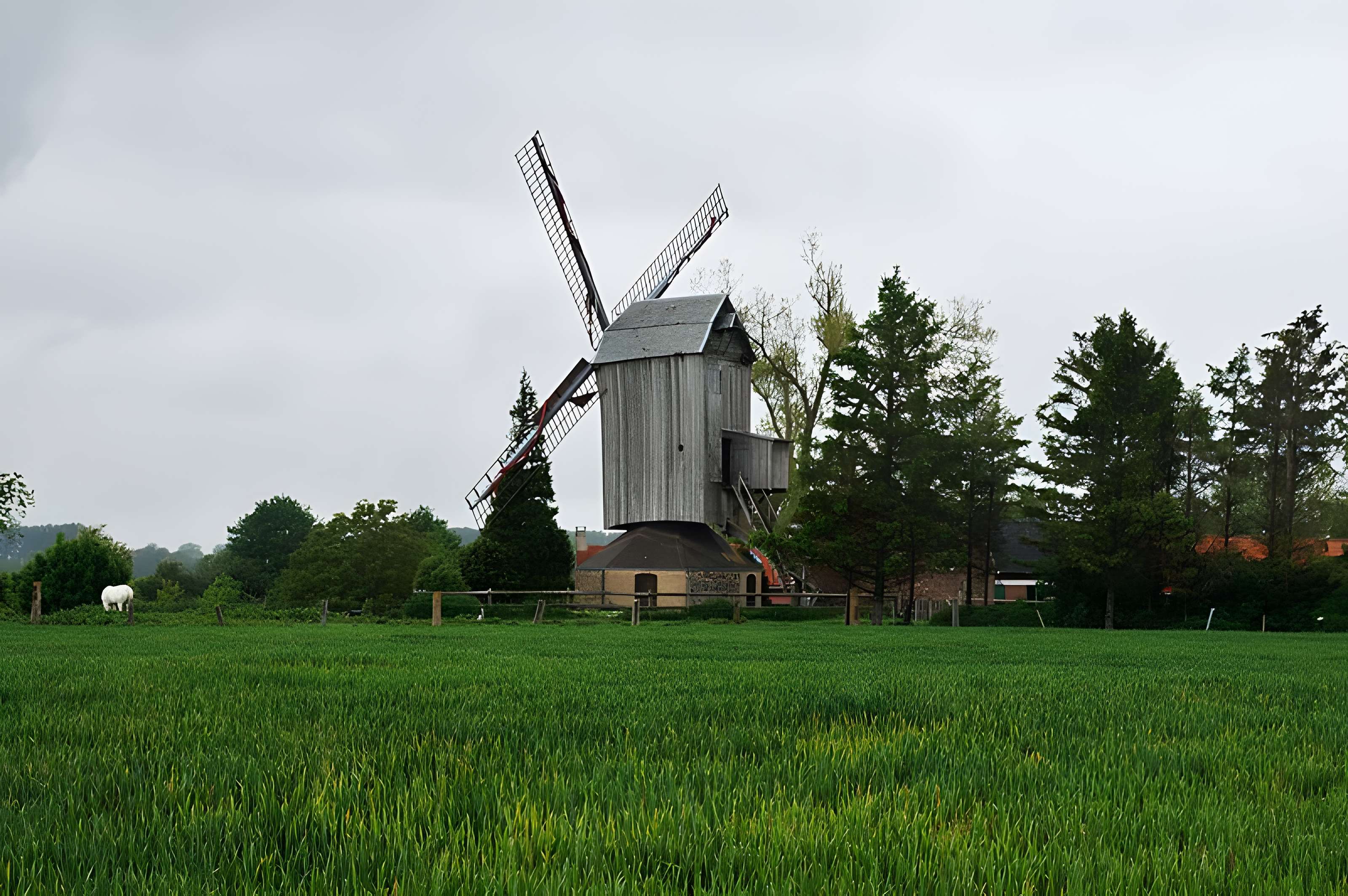 Moulin à vent de l'Hofland à Houtkerque