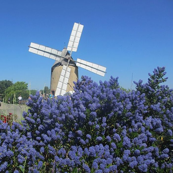 Photo de Moulin à vent de Vignasse à Montbrun-Lauragais