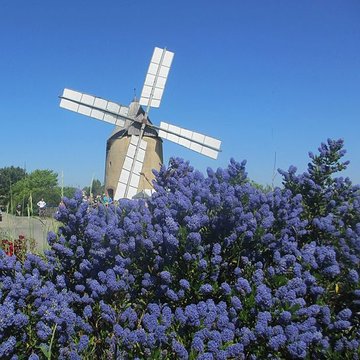 Moulin à vent de Vignasse à Montbrun-Lauragais