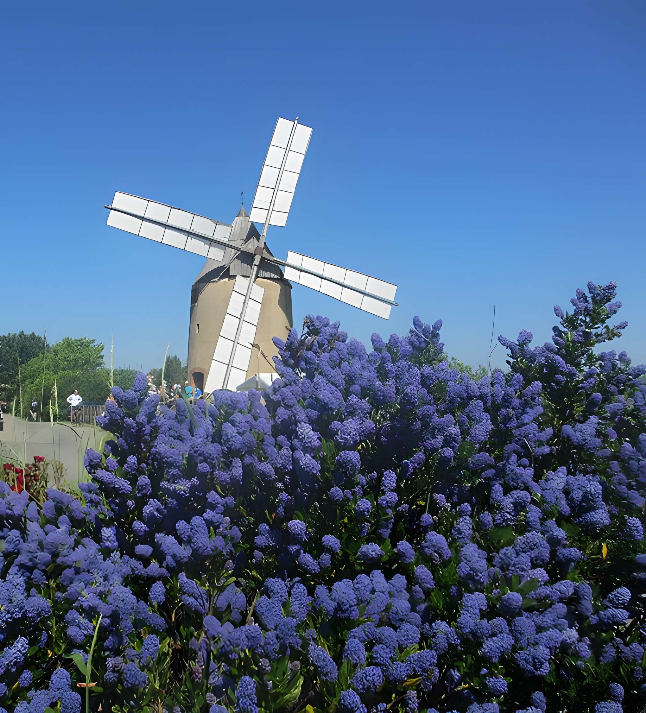 Moulin à vent de Vignasse à Montbrun-Lauragais
