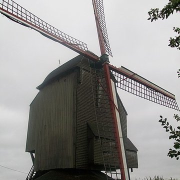 Moulin de Riele à Wormhout