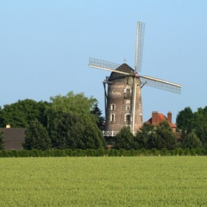 Photo de Moulin de Saint-Martin-au-Laërt