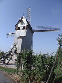 Photo de Moulin du Nord à Steenvoorde