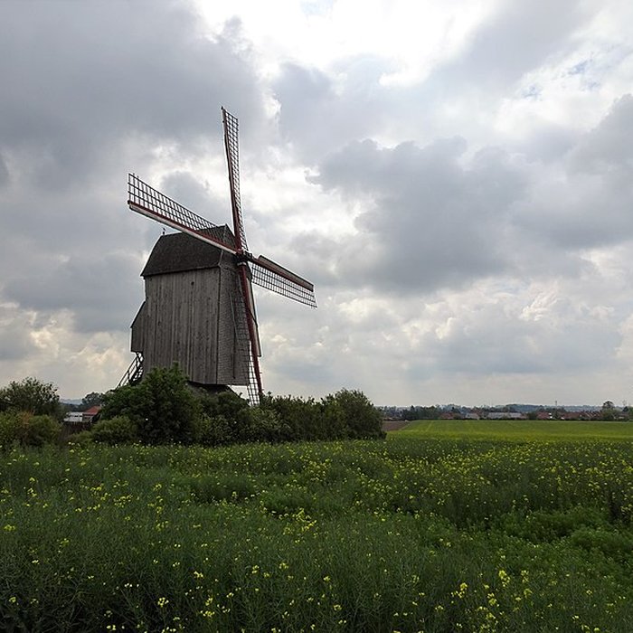 Photo de Moulin du Nord à Steenvoorde