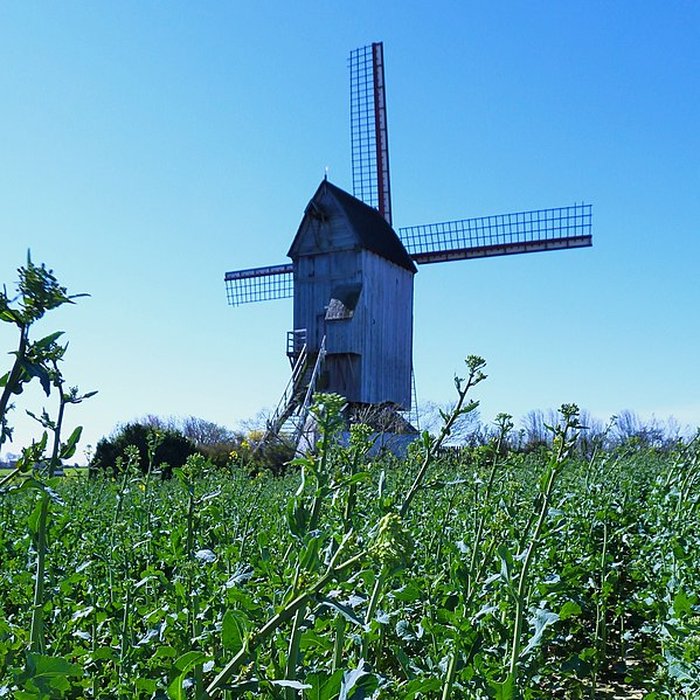 Photo de Moulin du Nord à Steenvoorde