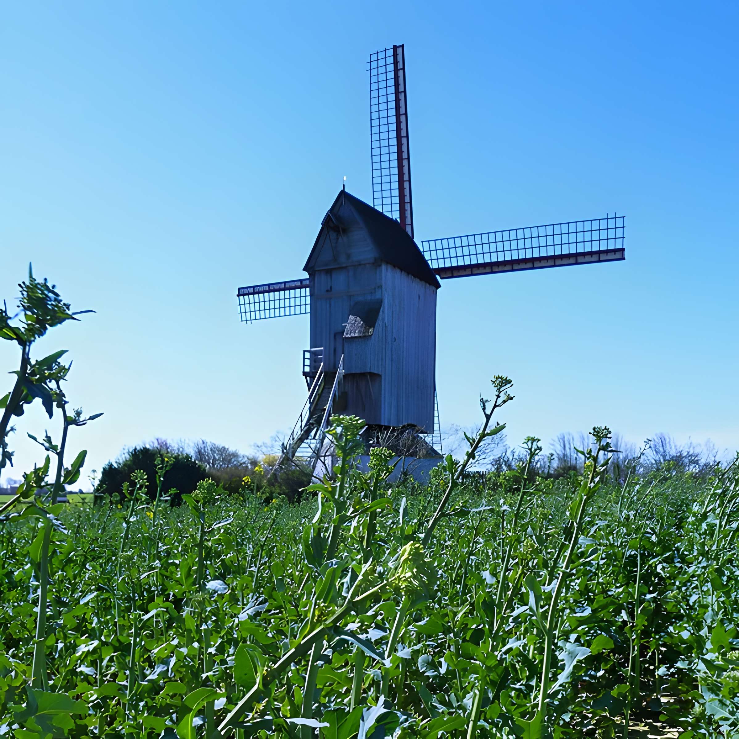 Moulin du Nord à Steenvoorde