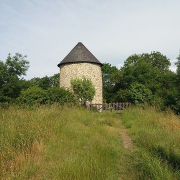 Moulin du Tertre à Mont-Dol