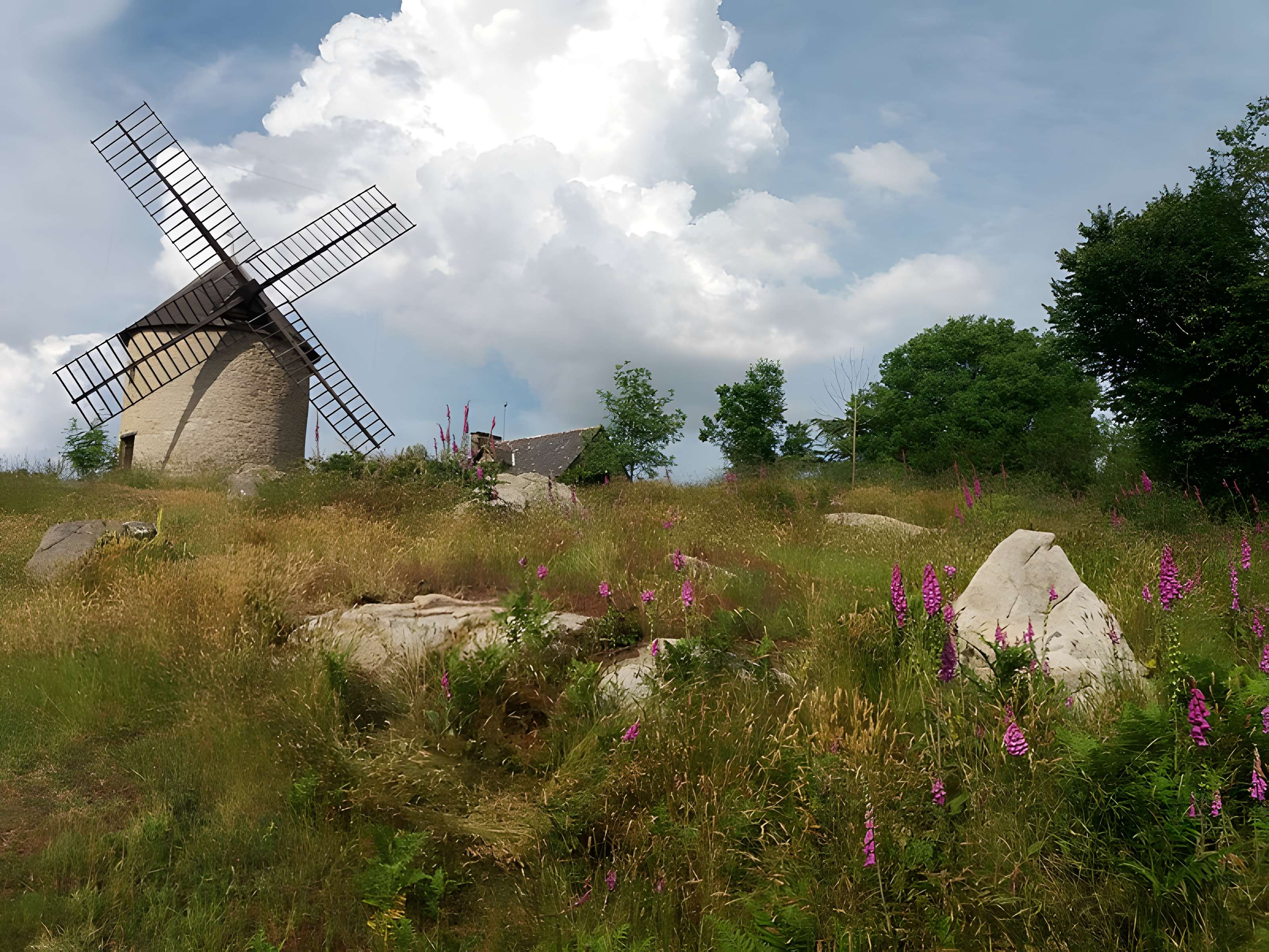 Moulin du Tertre à Mont-Dol