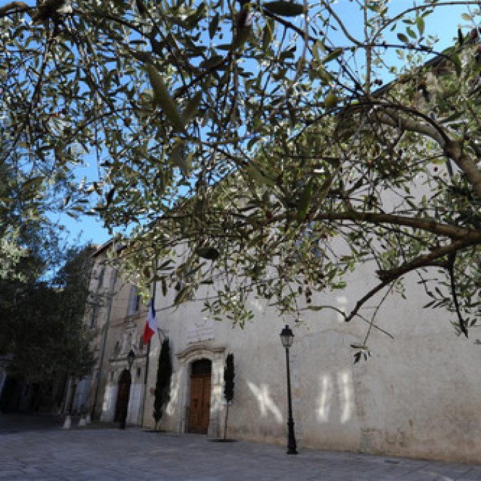 Photo de Palais des Comtes de Provence