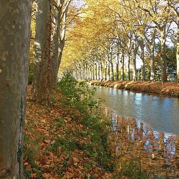 Pigeonnier de Ramonville-Saint-Agne