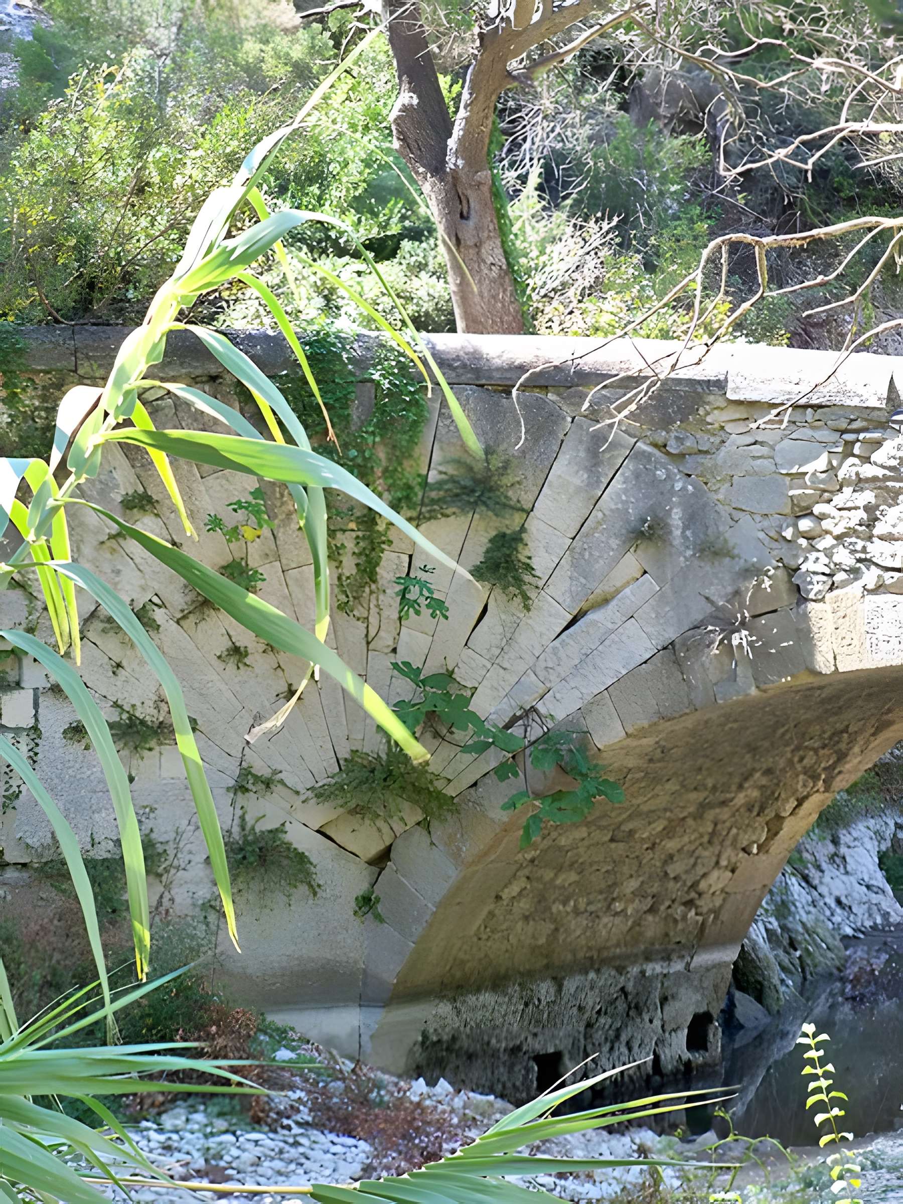 Pont à coquille sur l'Aigue-Brun de Lourmarin