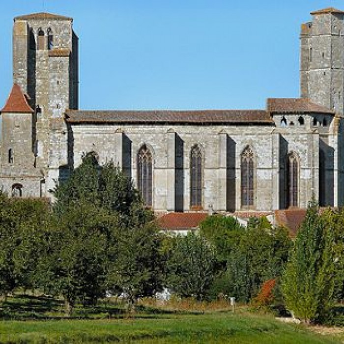 Photo de Collégiale Saint-Pierre de La Romieu