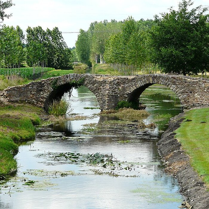 Photo de Pont de la Reine-Blanche à Curçay-sur-Dive