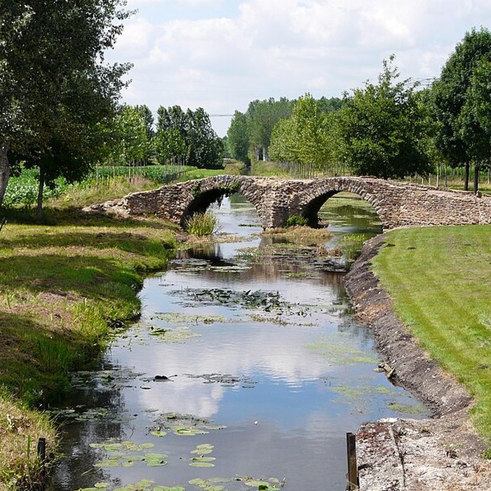 Photo de Pont de la Reine-Blanche à Curçay-sur-Dive