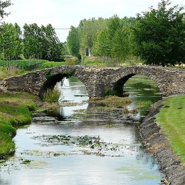 Pont de la Reine-Blanche à Curçay-sur-Dive