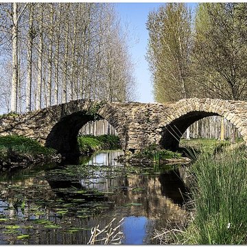 Pont de la Reine-Blanche à Curçay-sur-Dive