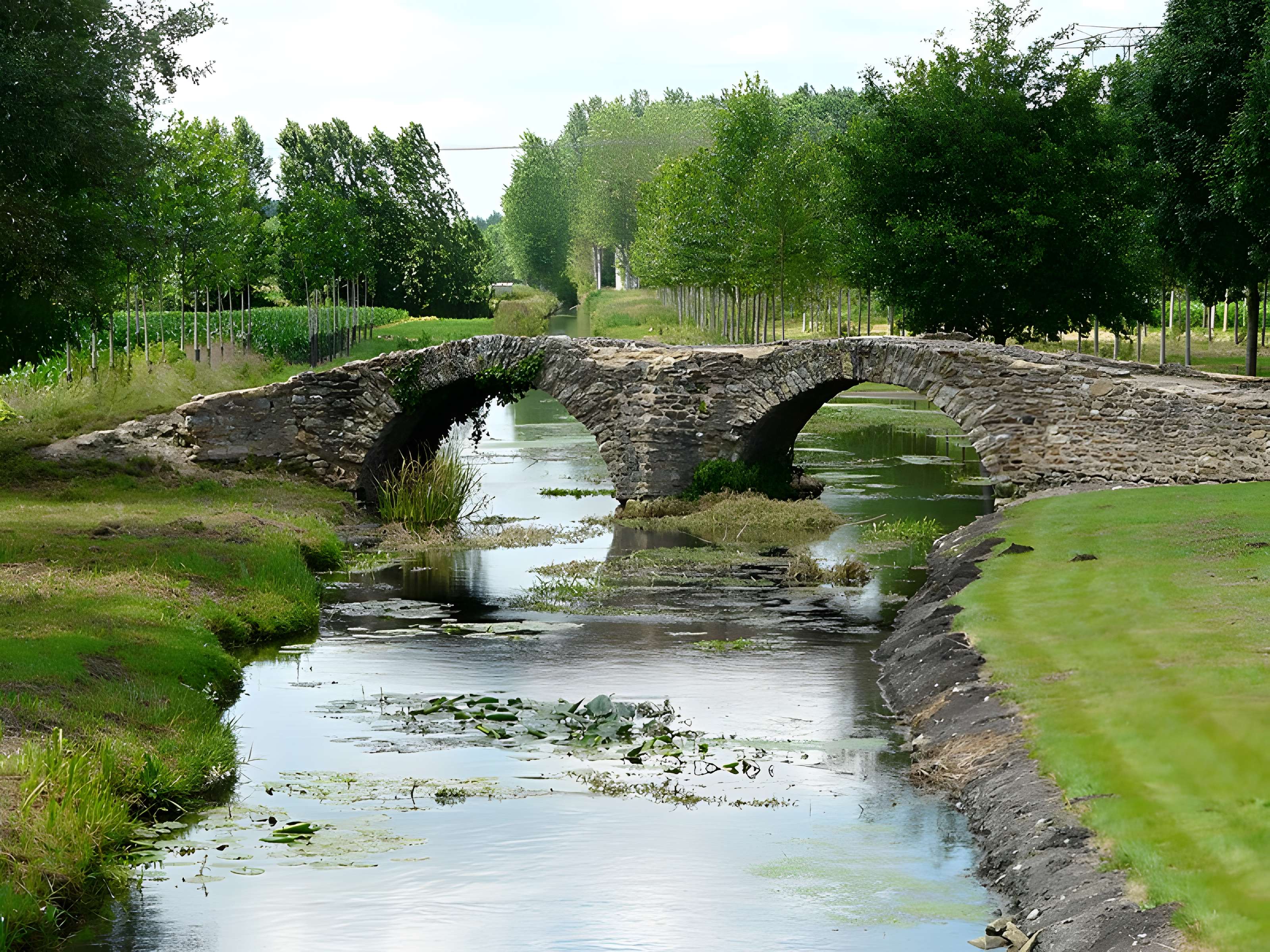 Pont de la Reine-Blanche à Curçay-sur-Dive