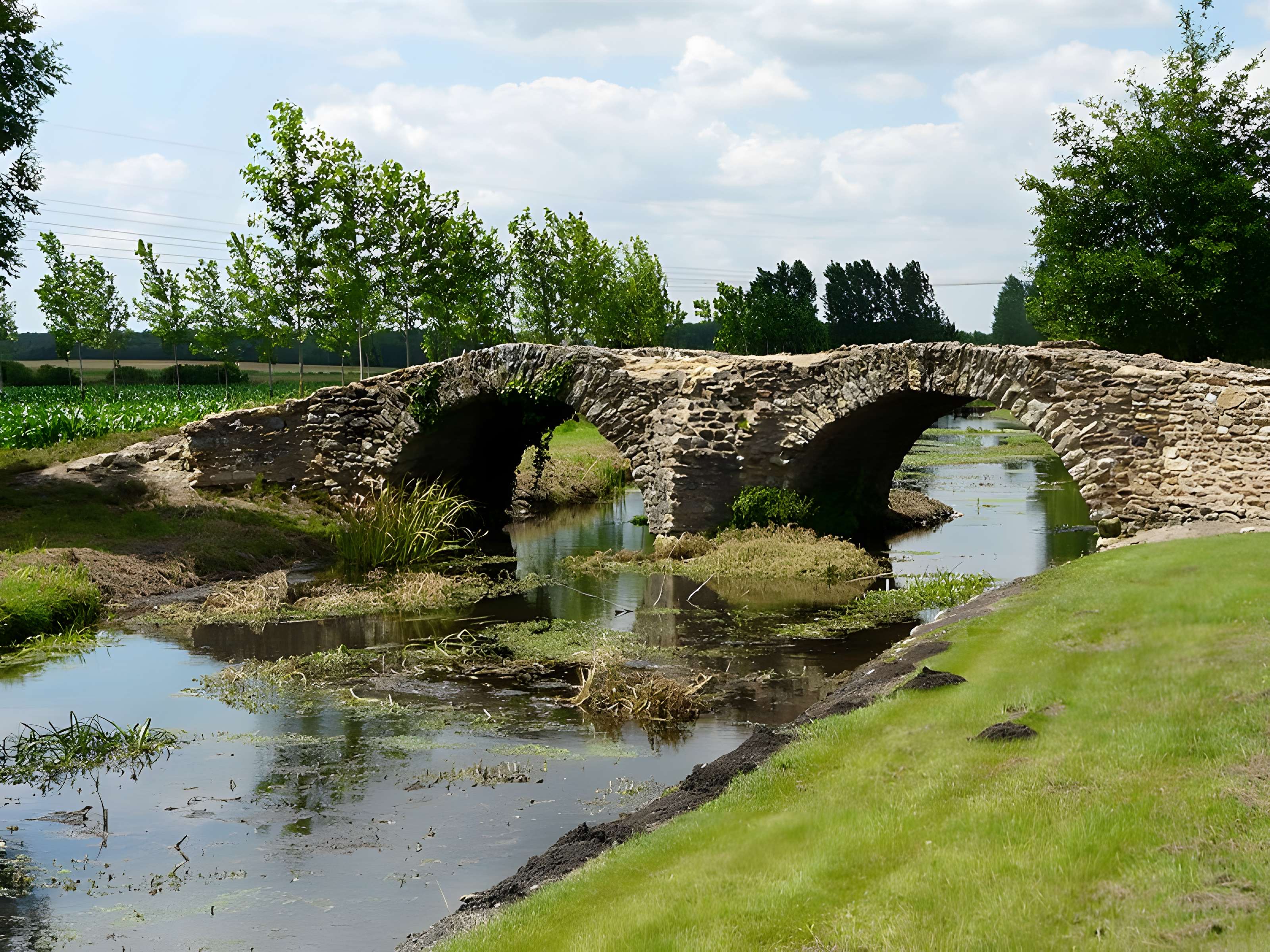 Pont de la Reine-Blanche à Curçay-sur-Dive