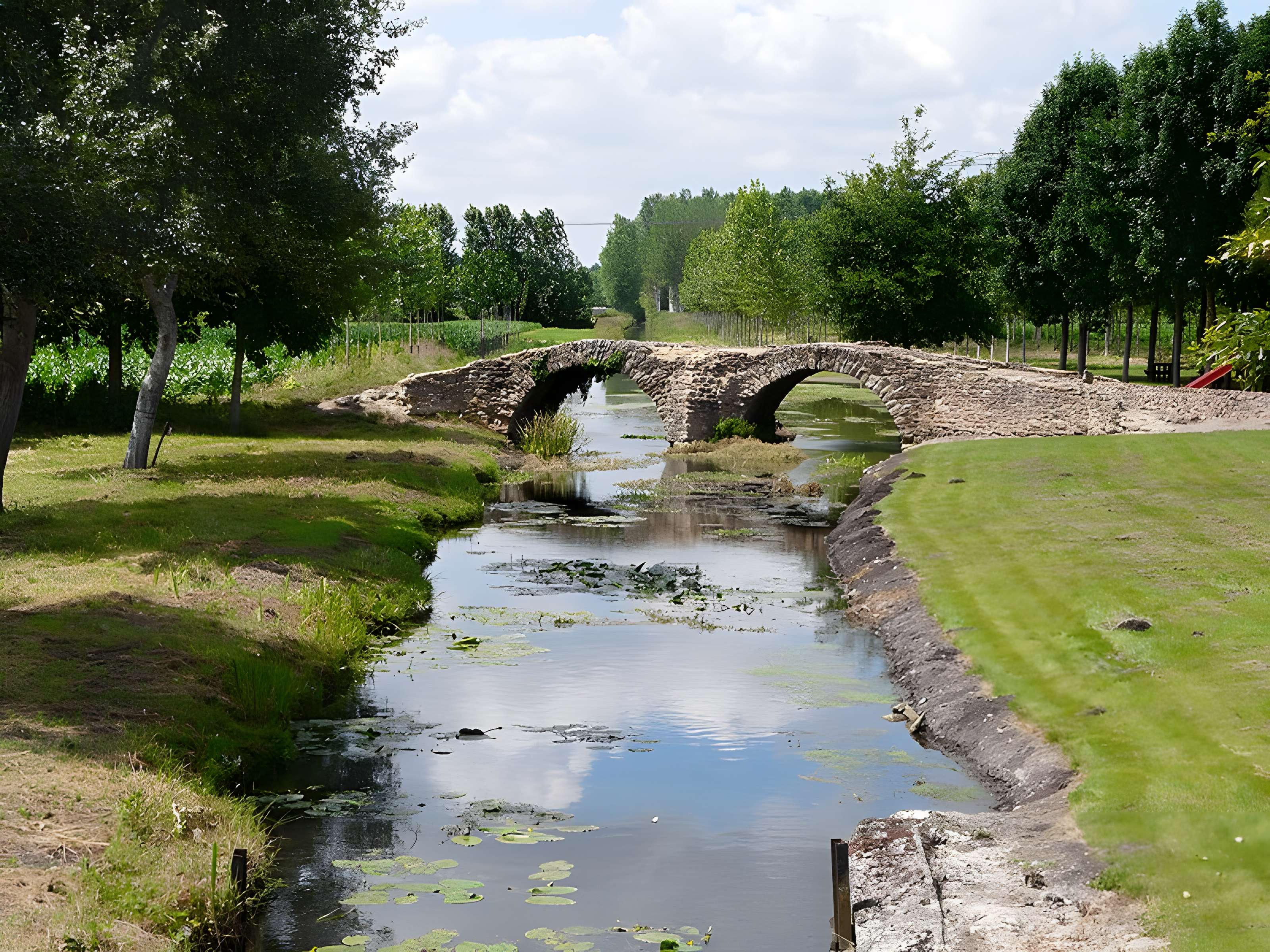Pont de la Reine-Blanche à Curçay-sur-Dive