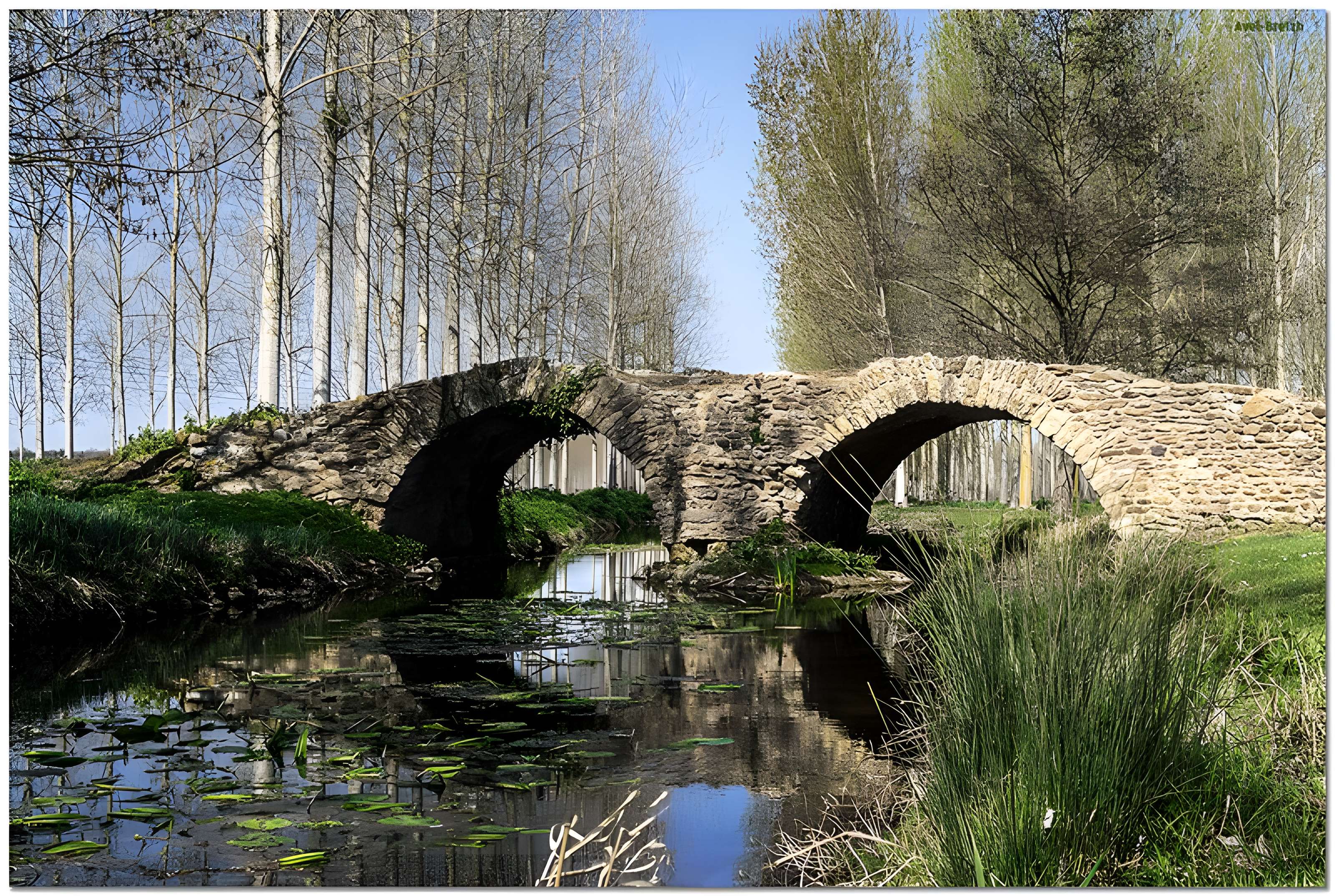 Pont de la Reine-Blanche à Curçay-sur-Dive