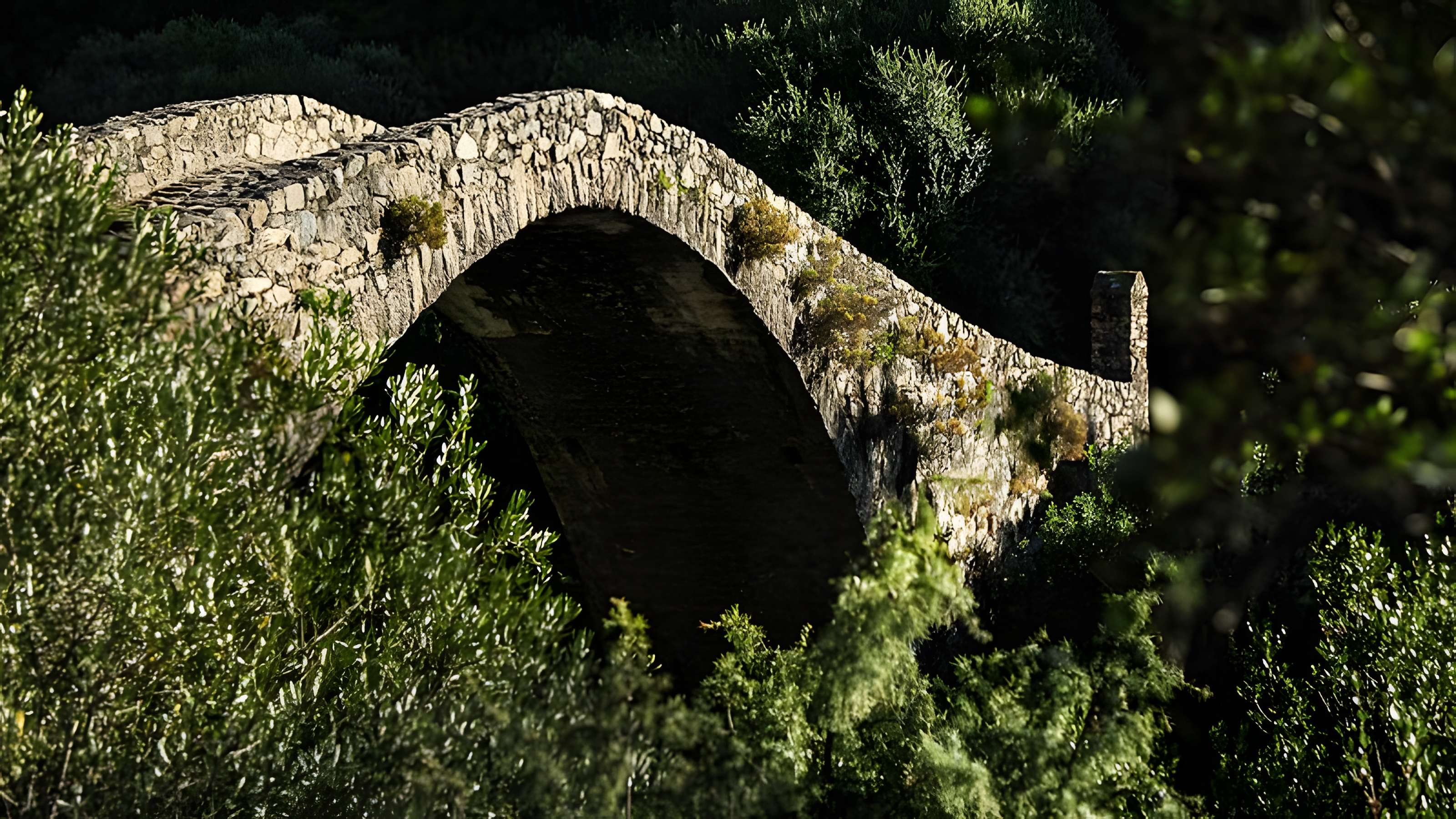 Pont de Pianella à Ota