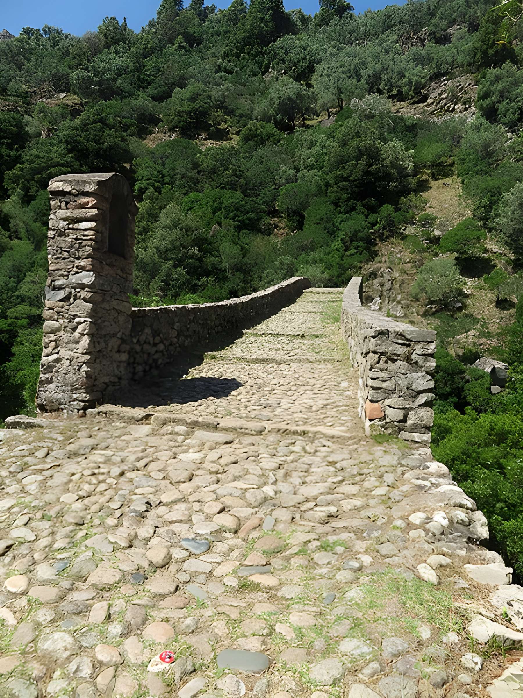 Pont de Pianella à Ota