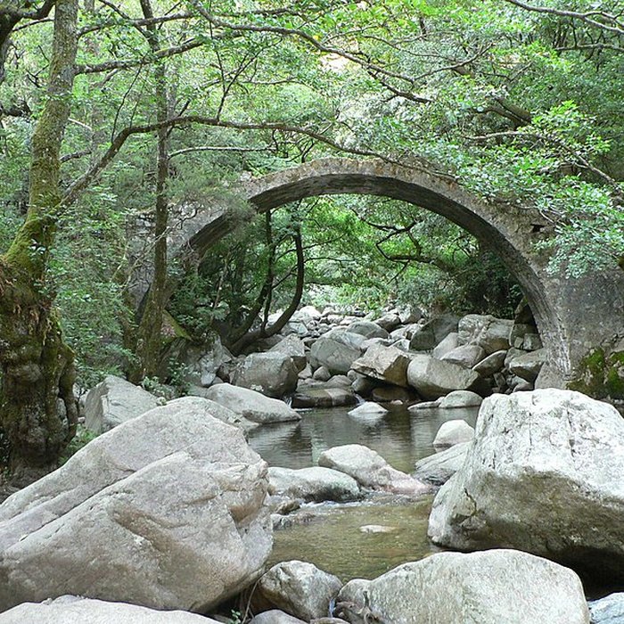 Photo de Pont de Zaglia à Évisa