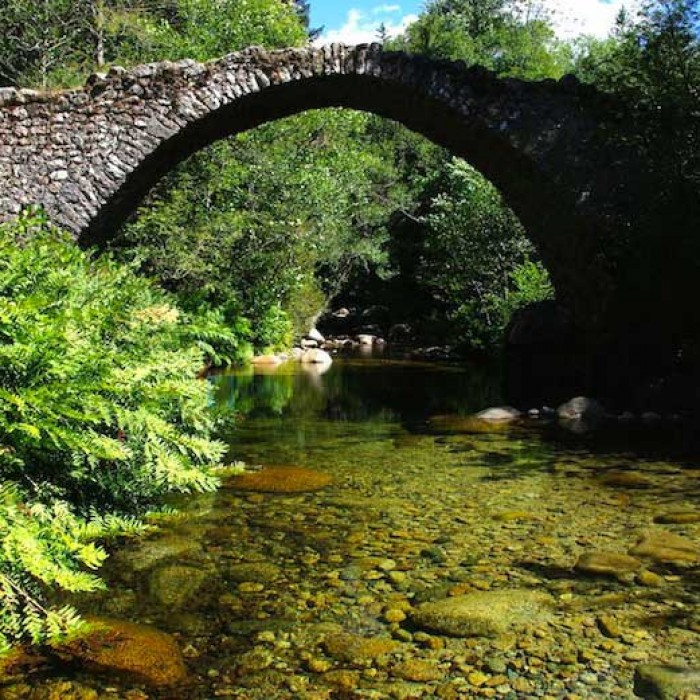 Photo de Pont de Zippitoli à Bastelica