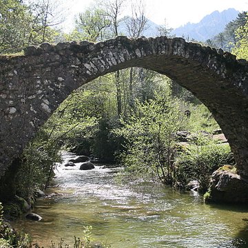 Pont de Zippitoli à Bastelica