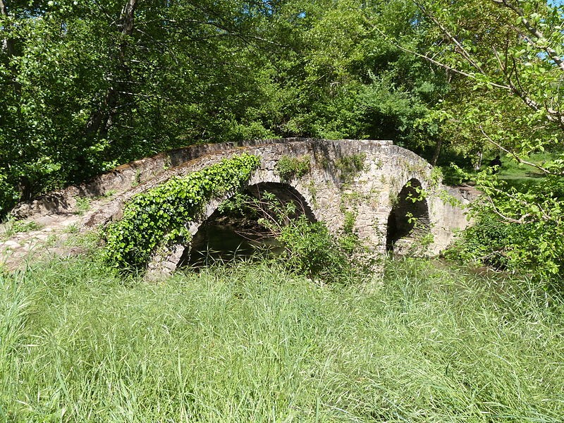 Photo de Pont des Ânes de Vindrac-Alayrac