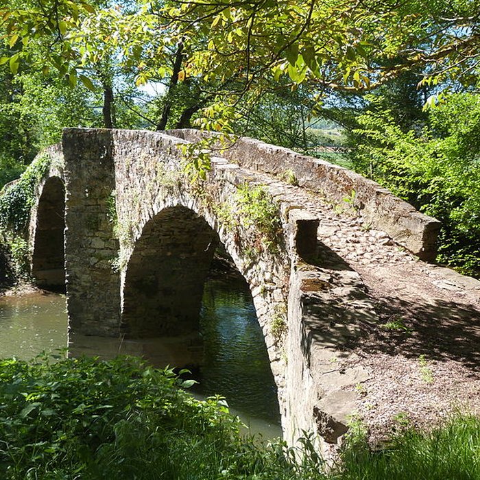 Photo de Pont des Ânes de Vindrac-Alayrac