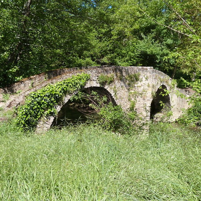 Photo de Pont des Ânes de Vindrac-Alayrac