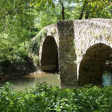 Pont des Ânes de Vindrac-Alayrac