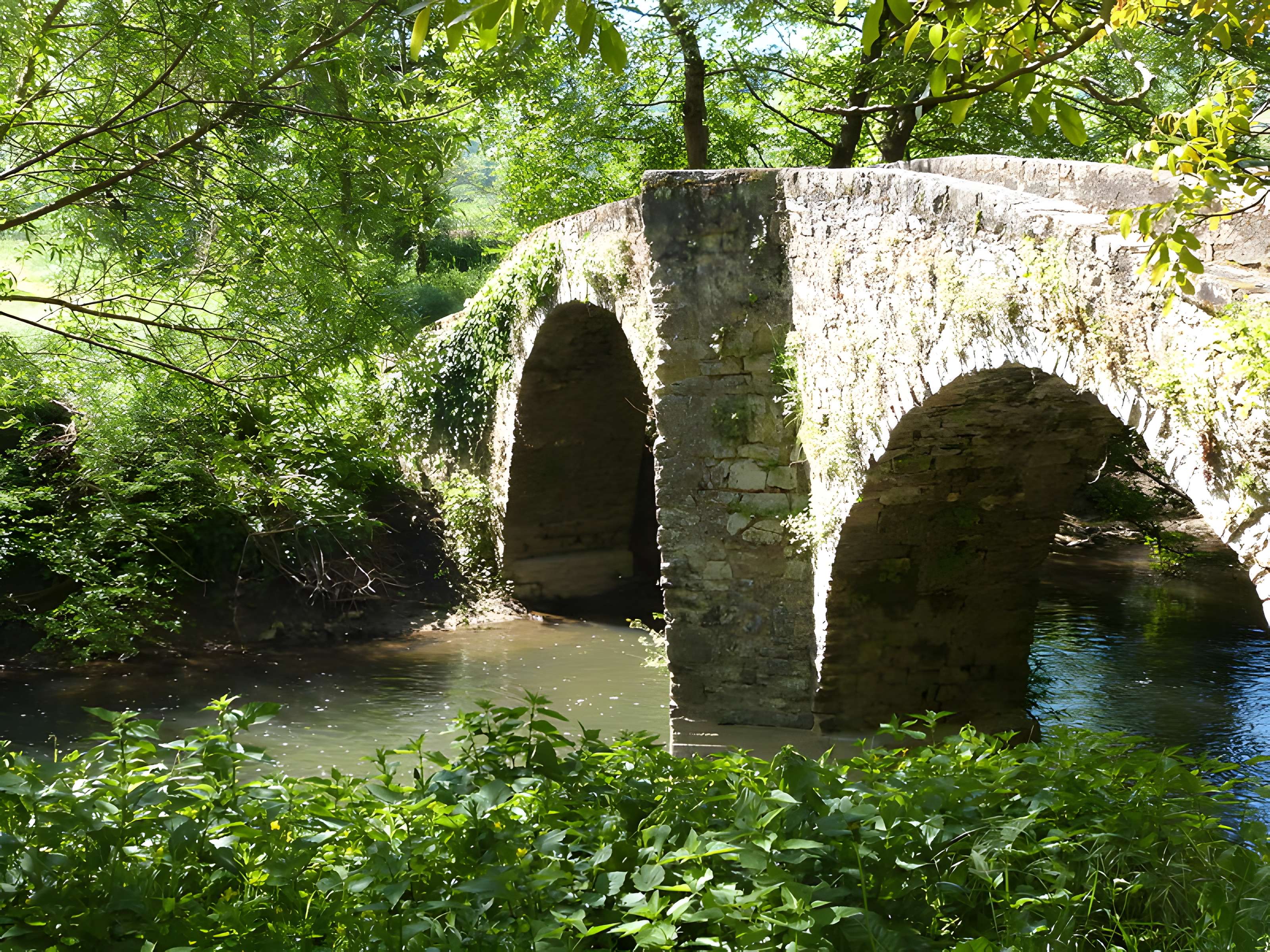 Pont des Ânes de Vindrac-Alayrac