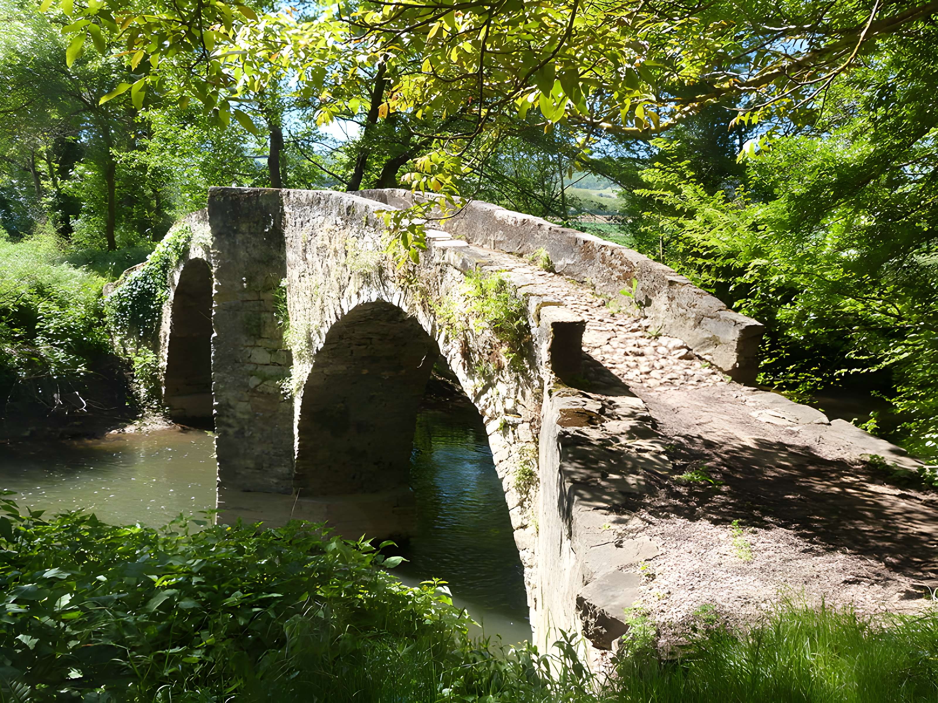 Pont des Ânes de Vindrac-Alayrac