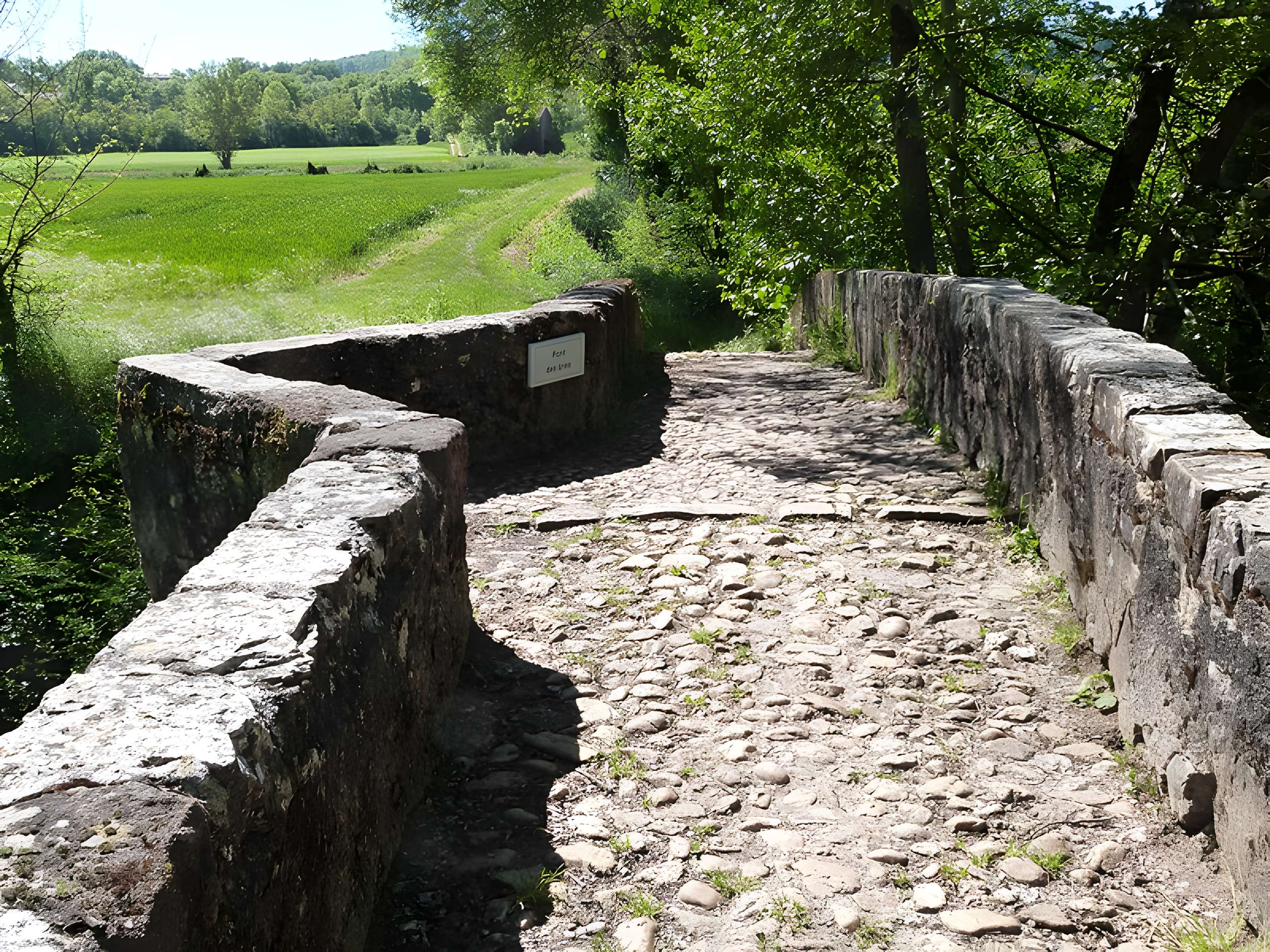 Pont des Ânes de Vindrac-Alayrac