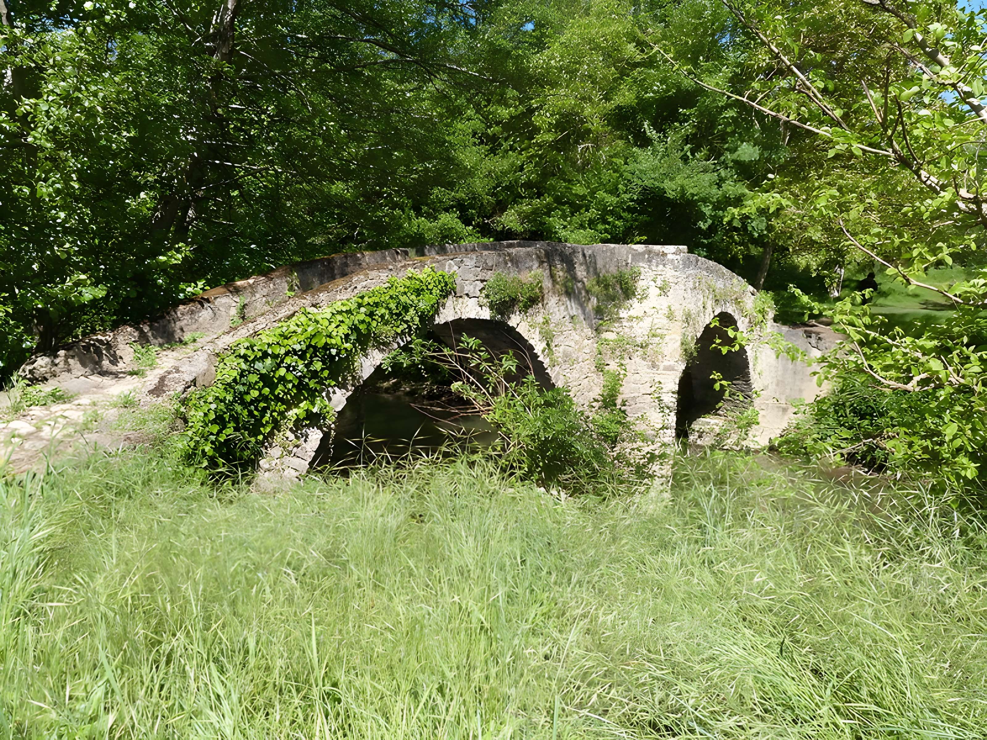 Pont des Ânes de Vindrac-Alayrac 