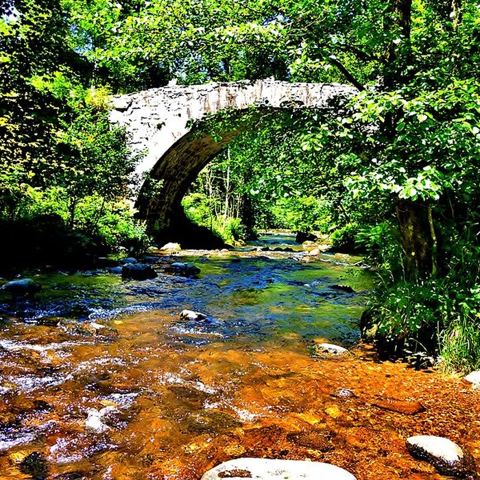 Photo de Pont dit Pont-des-Fées également sur commune de Xonrupt-Longemer