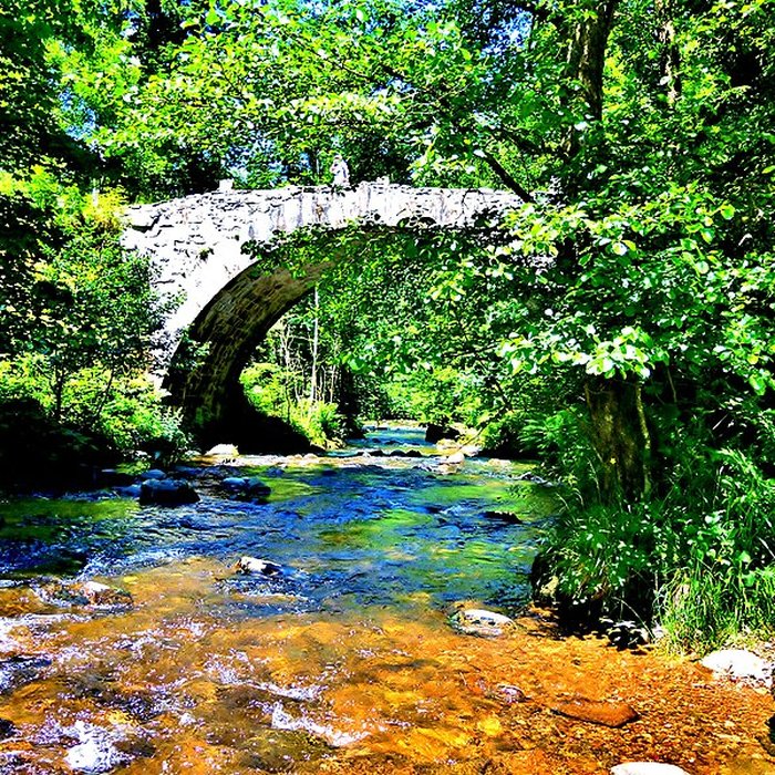 Photo de Pont dit Pont-des-Fées également sur commune de Xonrupt-Longemer