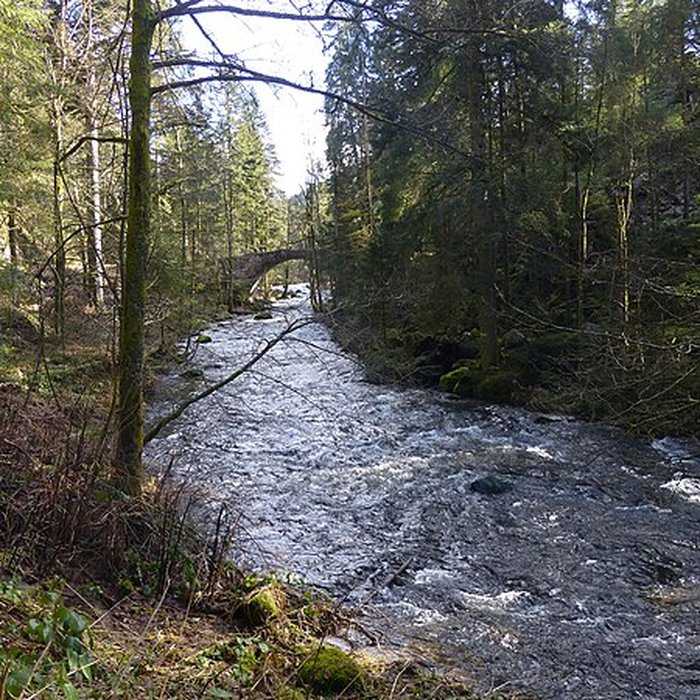 Photo de Pont dit Pont-des-Fées également sur commune de Xonrupt-Longemer