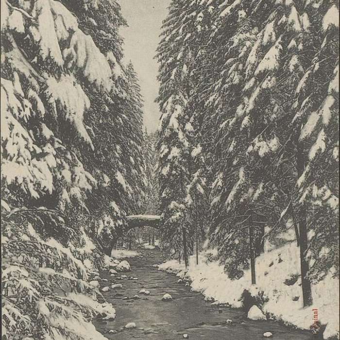 Photo de Pont dit Pont-des-Fées également sur commune de Xonrupt-Longemer