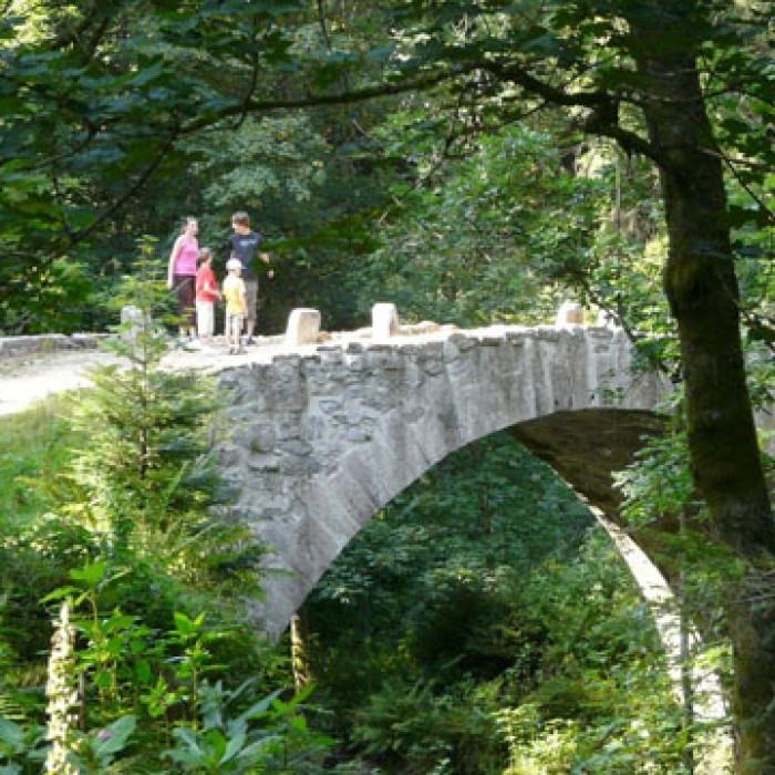 Photo de Pont dit Pont-des-Fées également sur commune de Xonrupt-Longemer