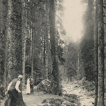 Pont des Fées de Xonrupt-Longemer