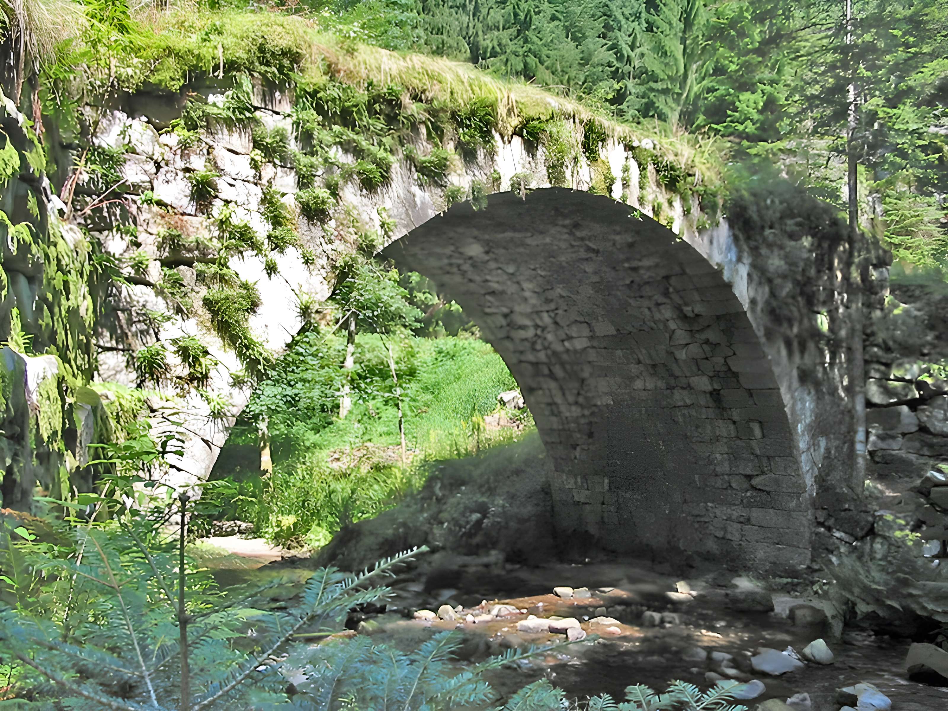 Pont des Fées de Xonrupt-Longemer