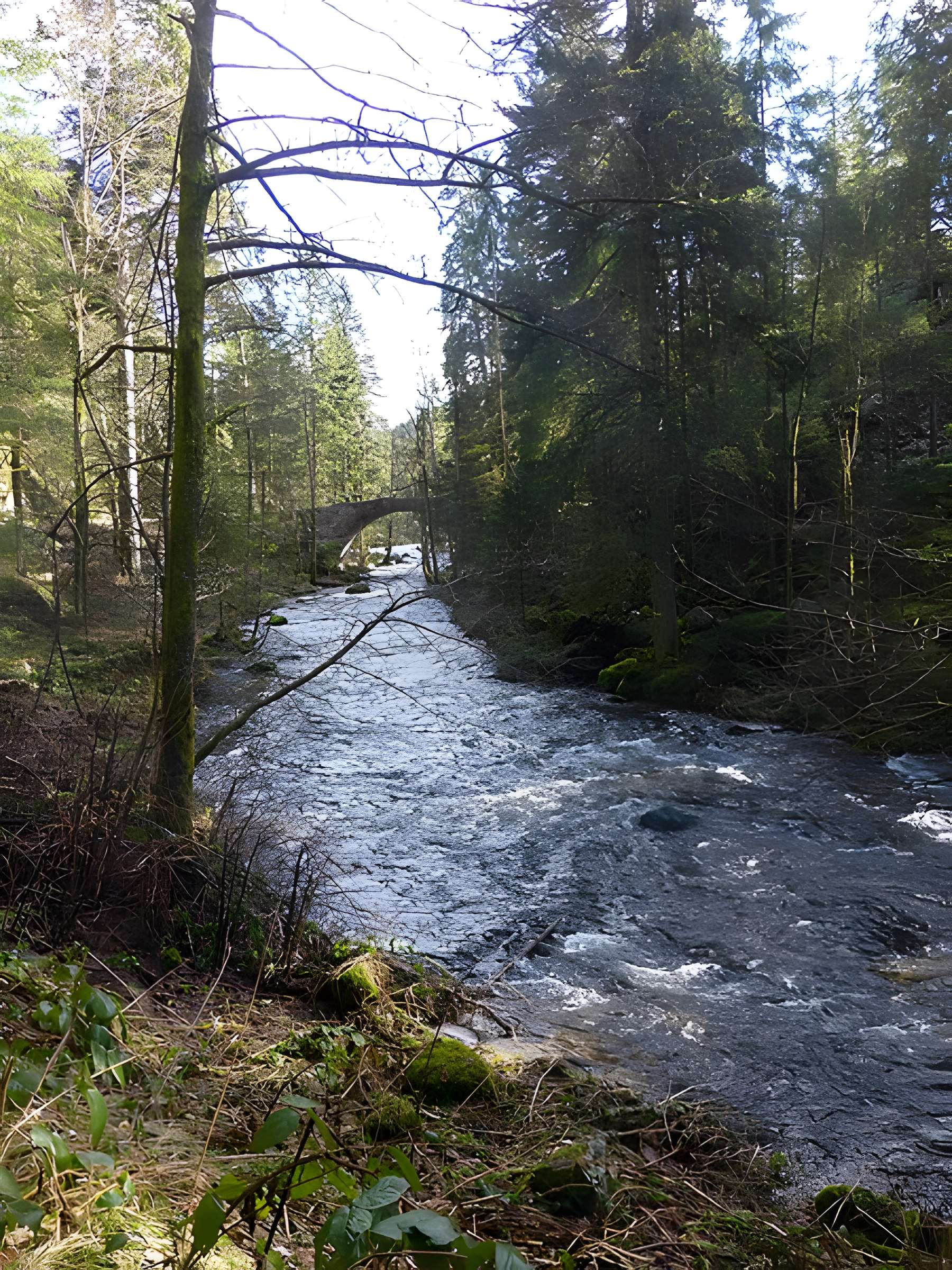 Pont des Fées de Xonrupt-Longemer